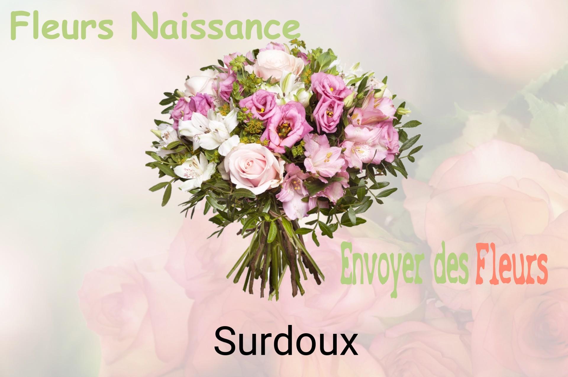 Bouquet de fleurs de naissance livré à Surdoux